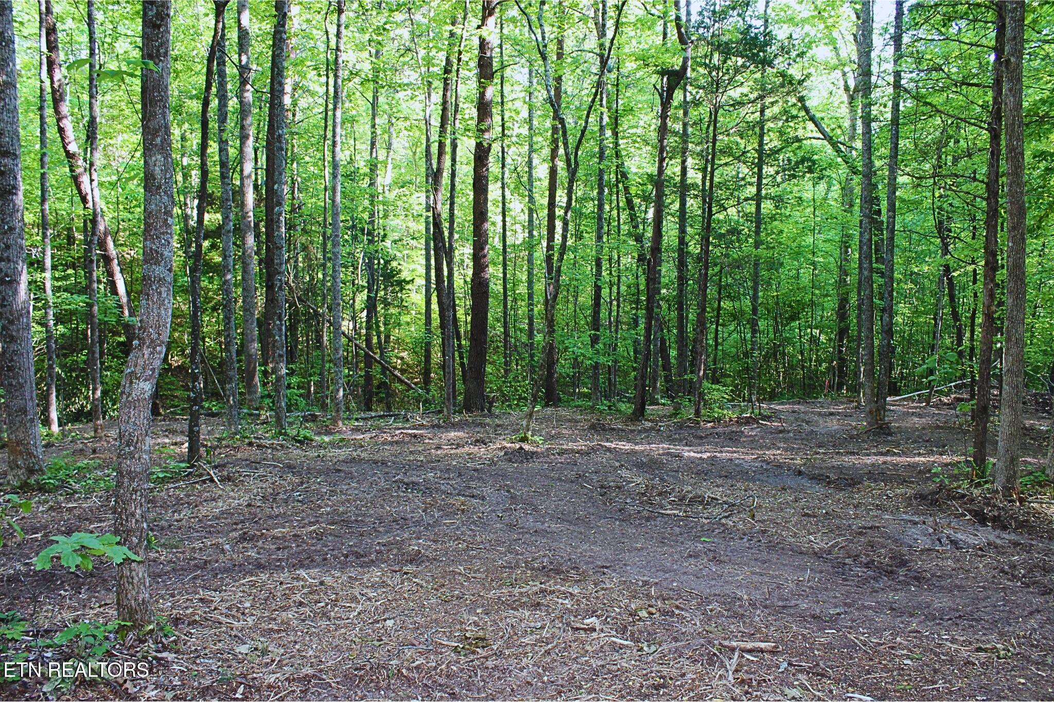425 Smokey Road Rutledge TN 37861