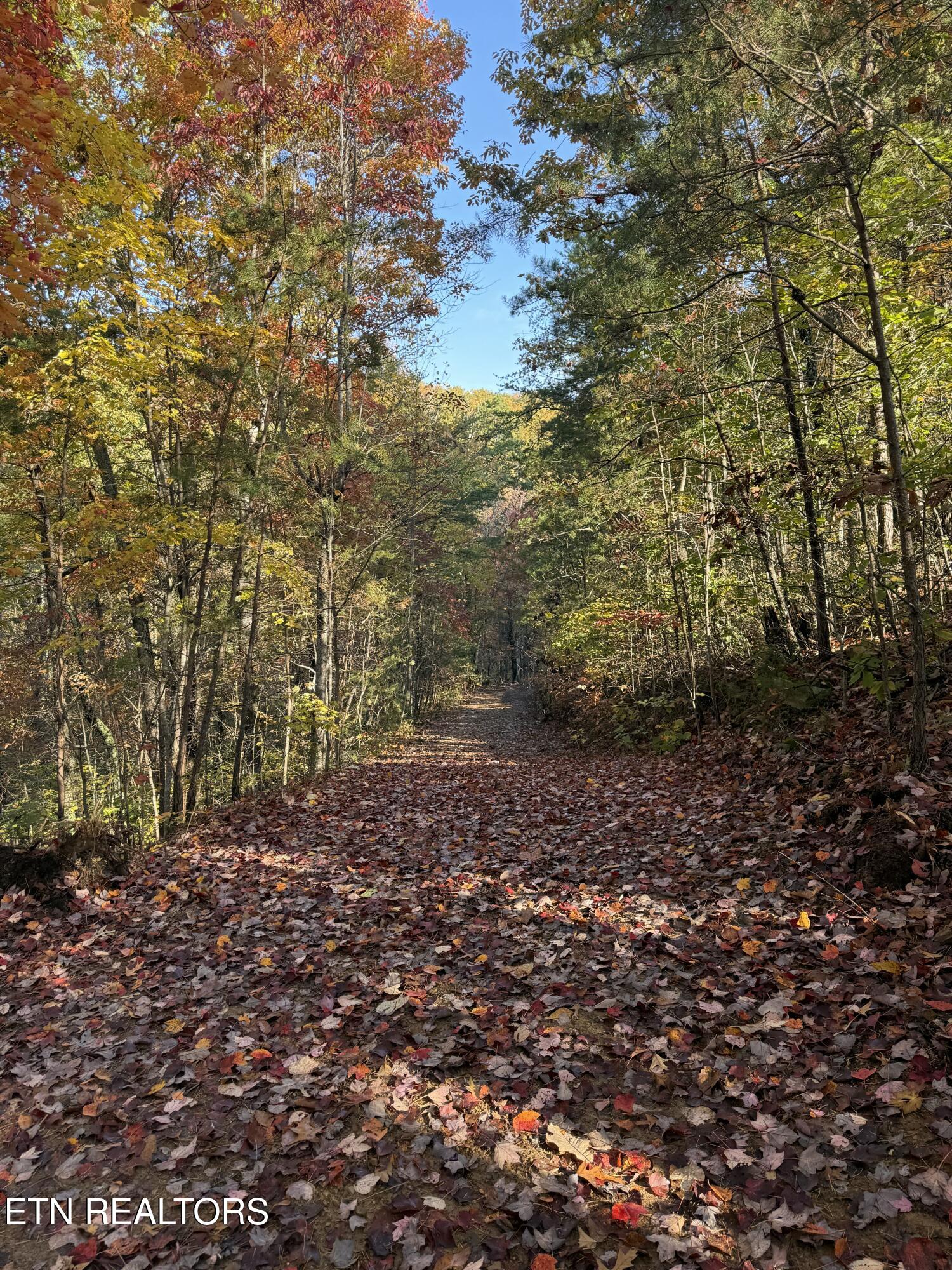425 Smokey Road Rutledge TN 37861