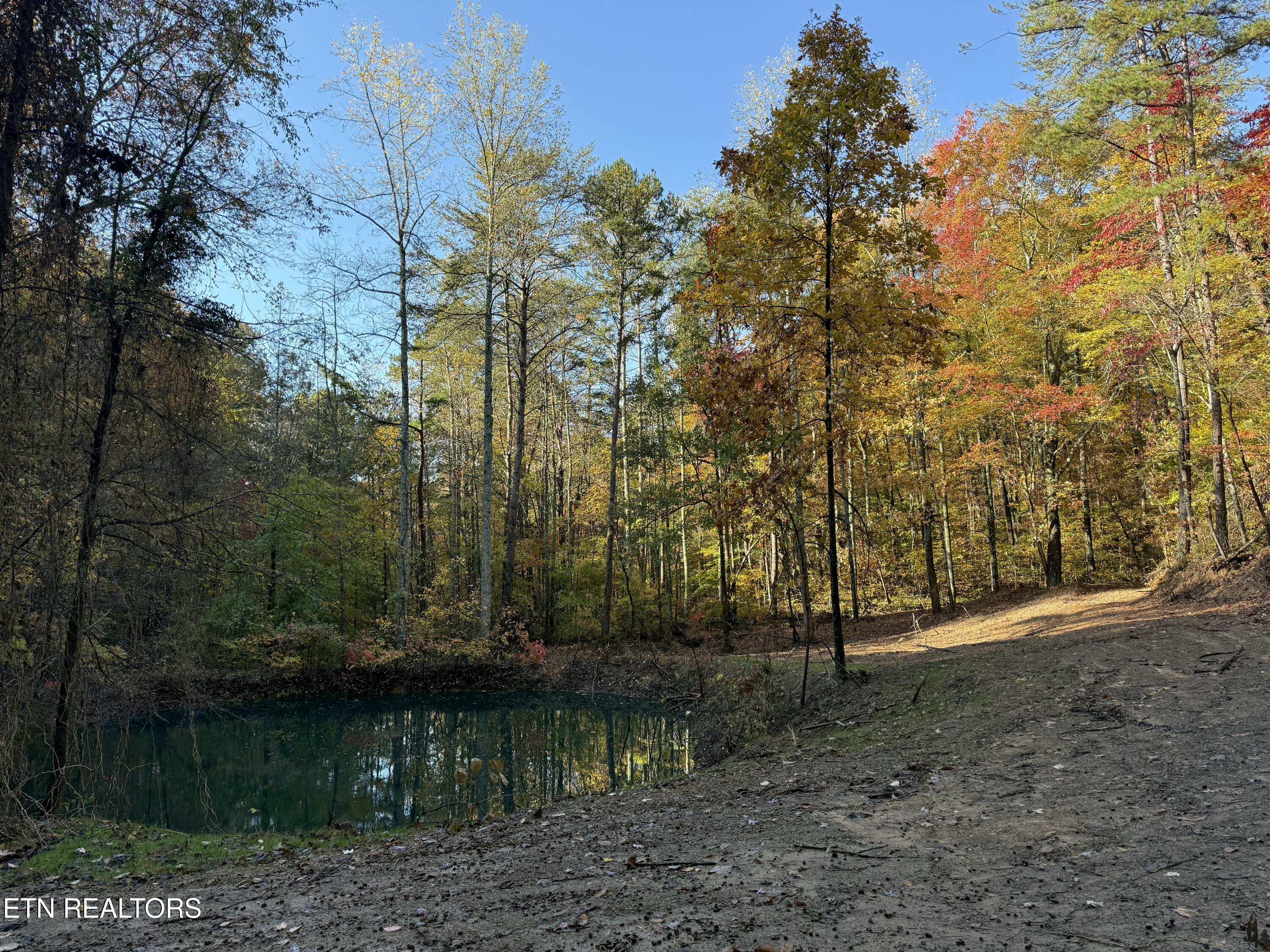 425 Smokey Road Rutledge TN 37861