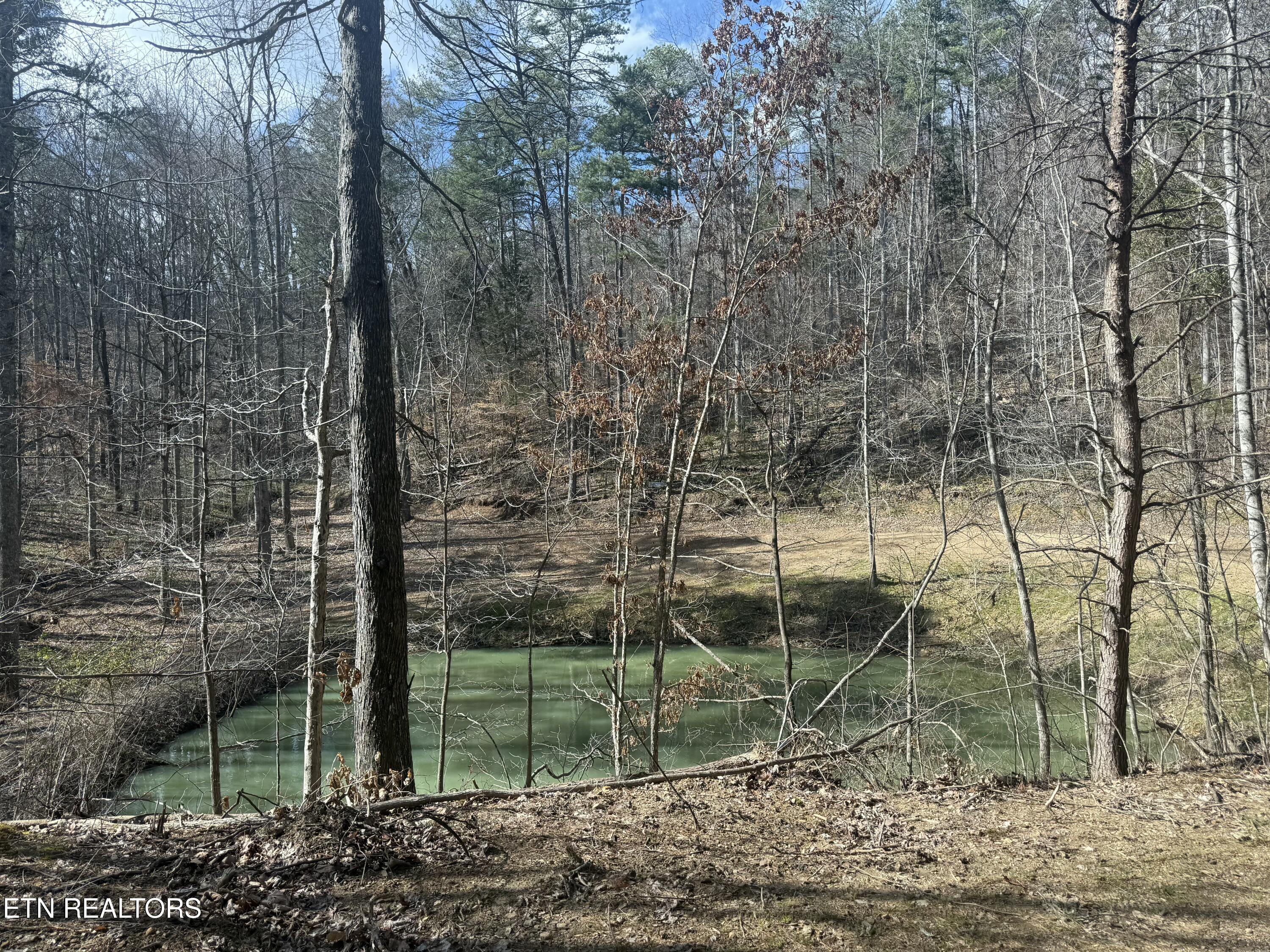 425 Smokey Road Rutledge TN 37861