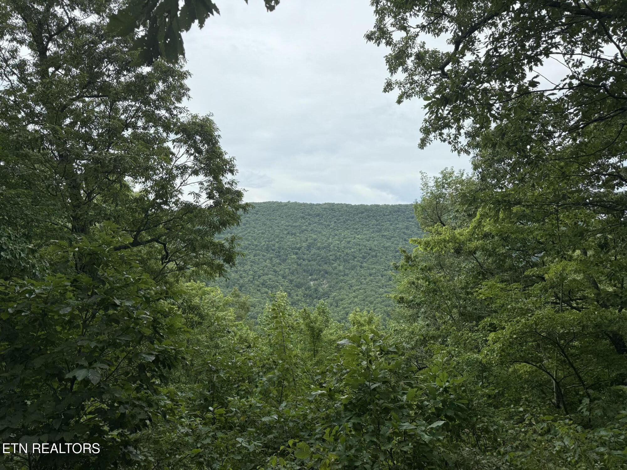 425 Smokey Road Rutledge TN 37861