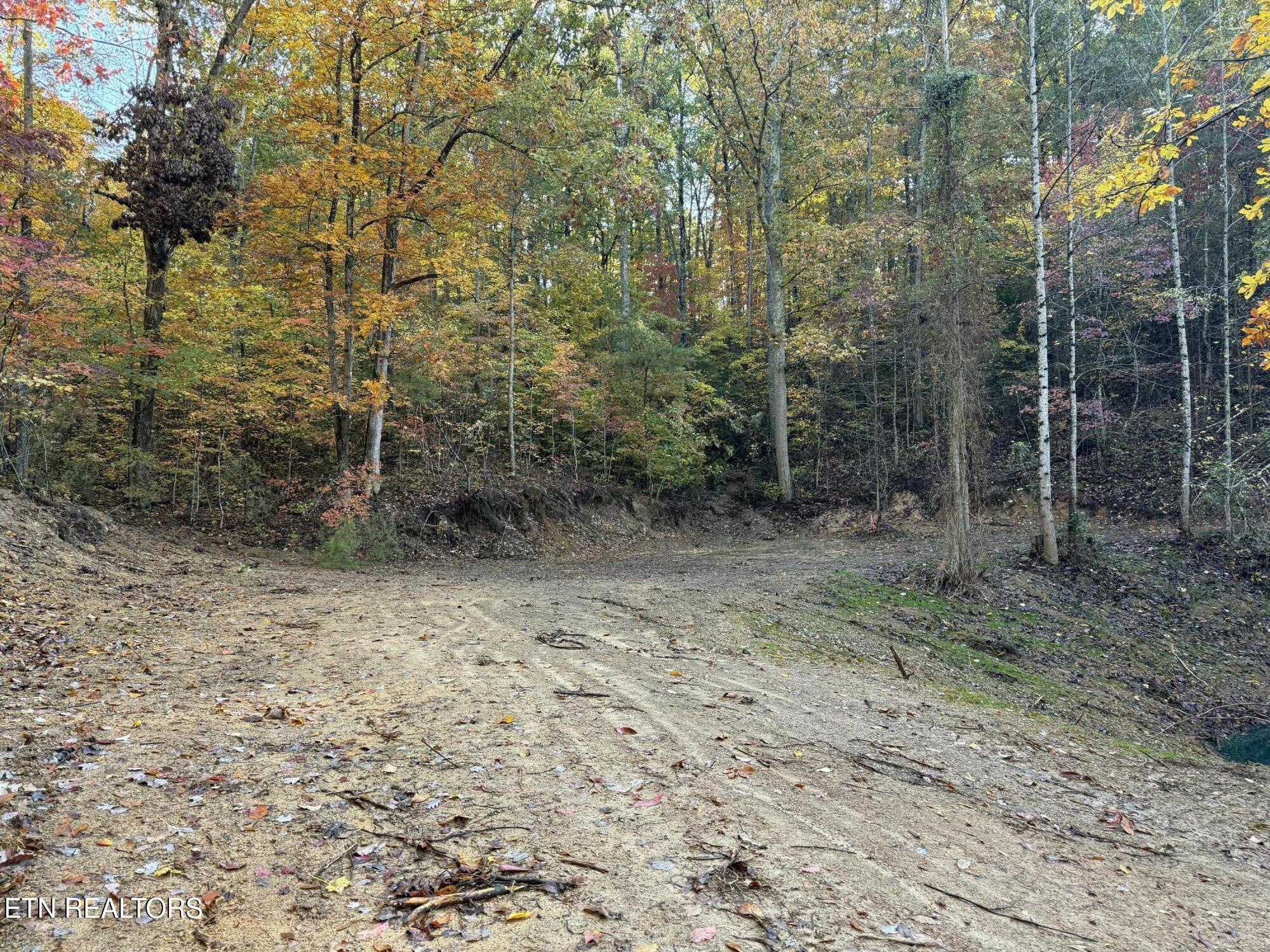 425 Smokey Road Rutledge TN 37861