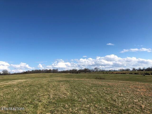 8634 Shackleford Lane Strawberry Plains TN 37871