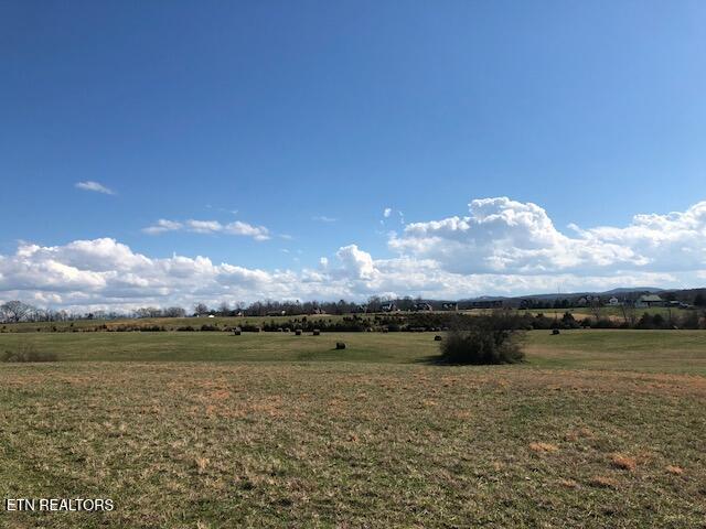 8634 Shackleford Lane Strawberry Plains TN 37871