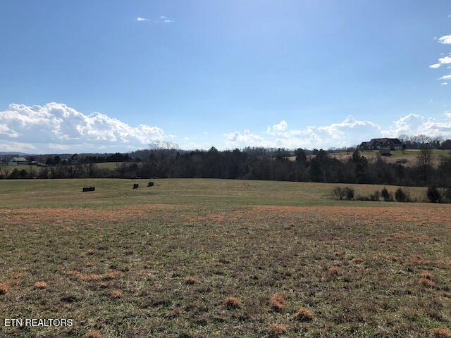 8634 Shackleford Lane Strawberry Plains TN 37871