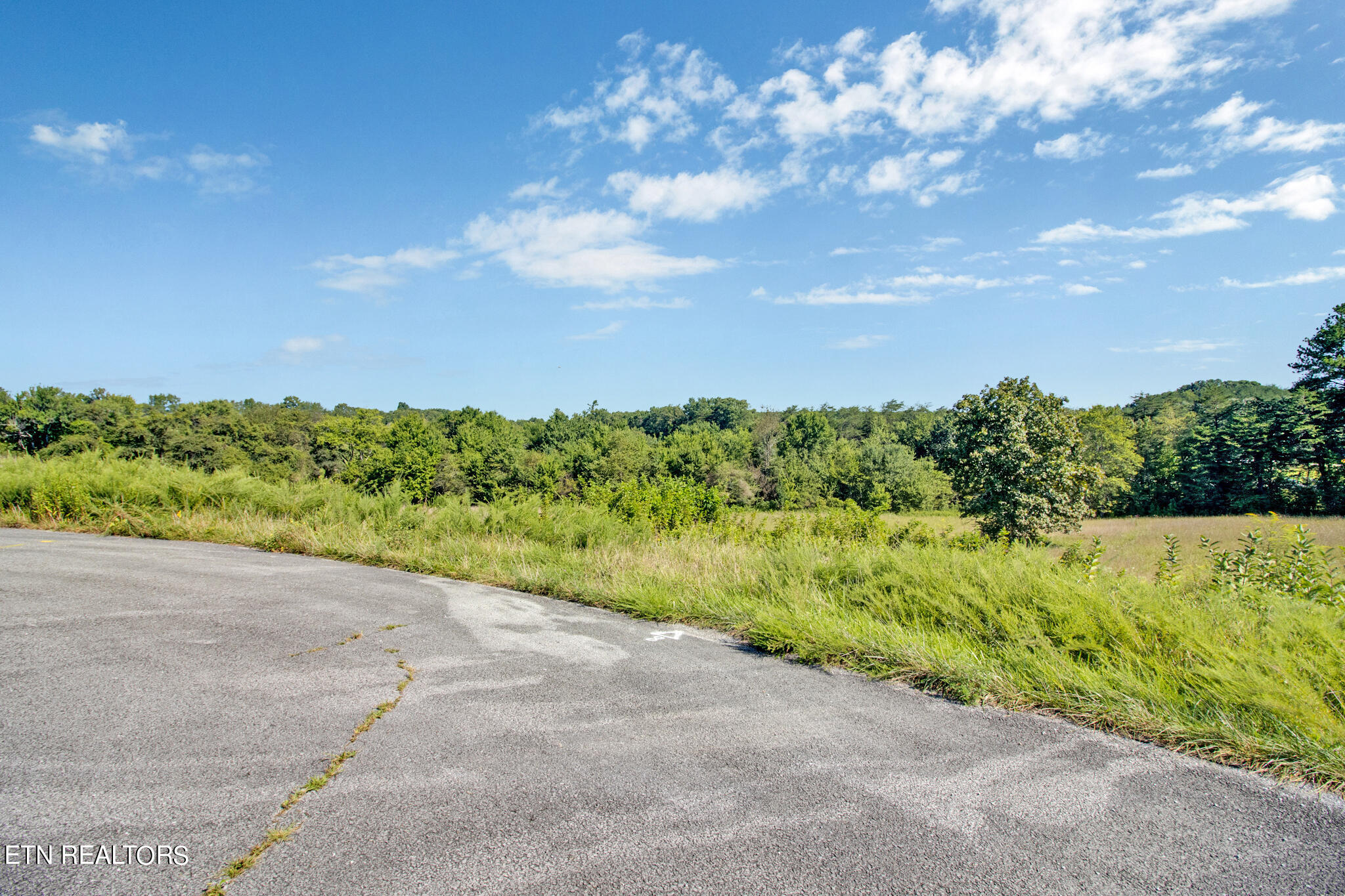 Lot 38 Estate Lane Crossville TN 38555
