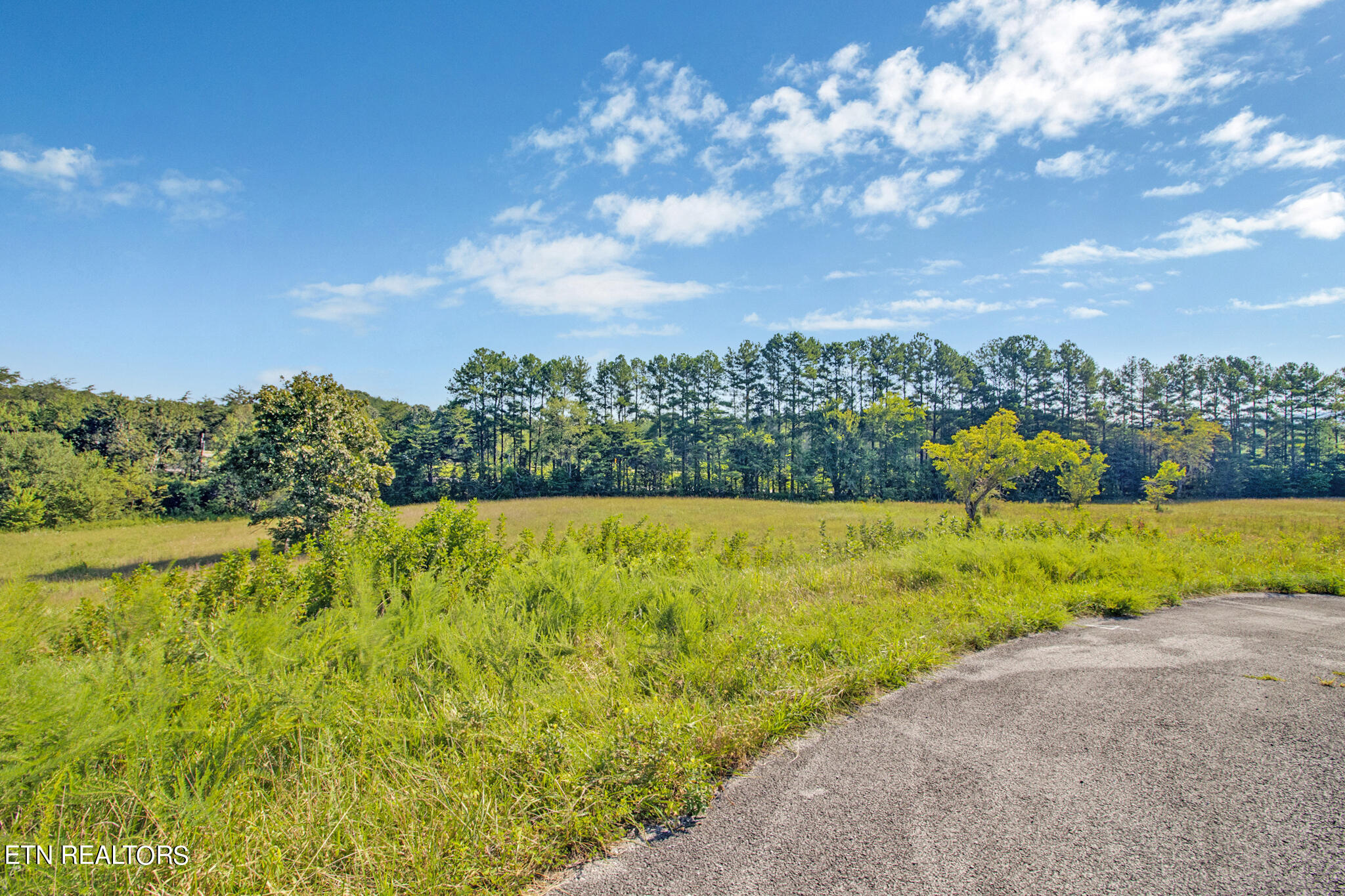 Lot 38 Estate Lane Crossville TN 38555