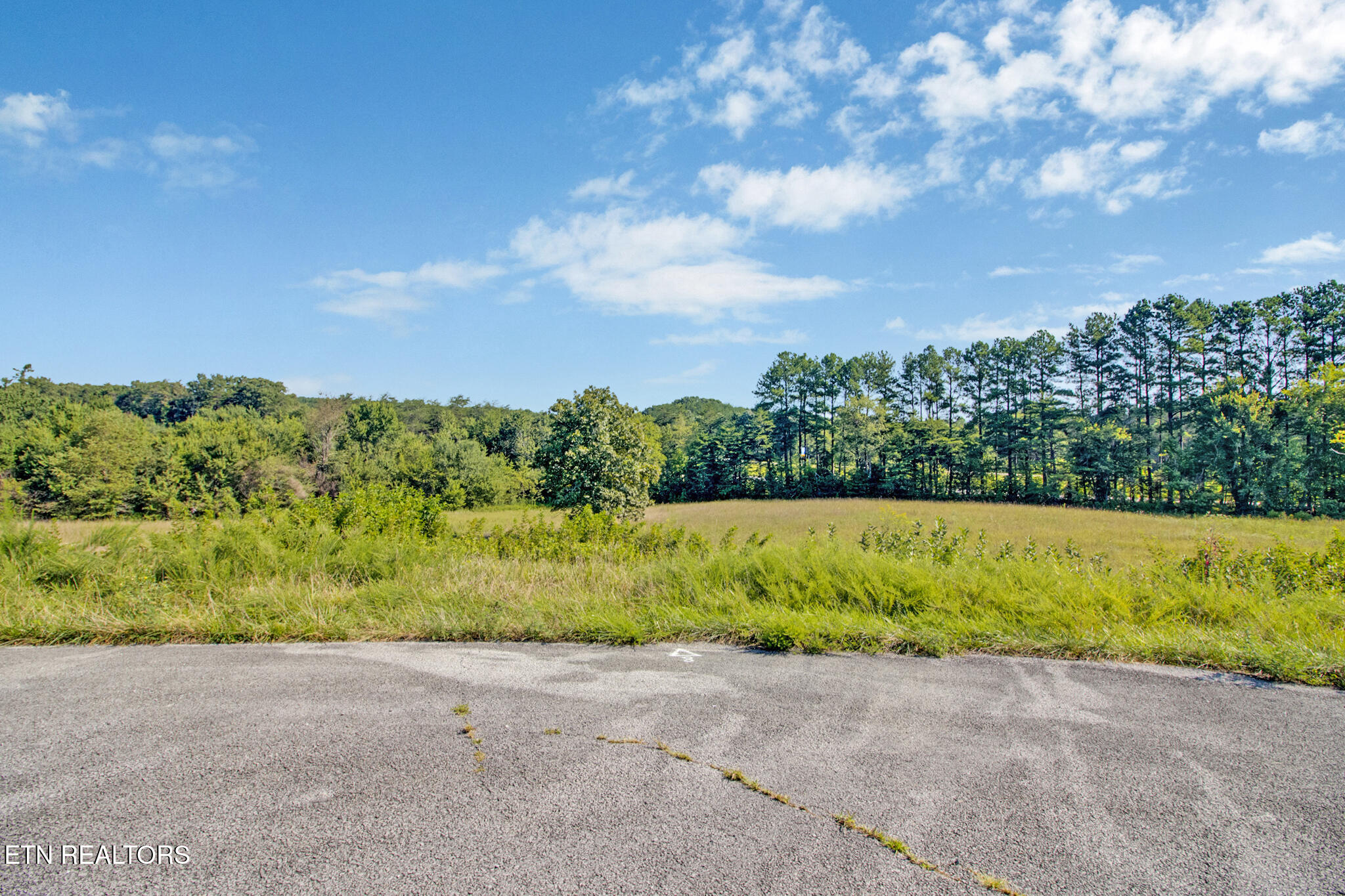 Lot 38 Estate Lane Crossville TN 38555
