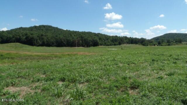 Lot 38 Ranchside Court Rock Island TN 38581