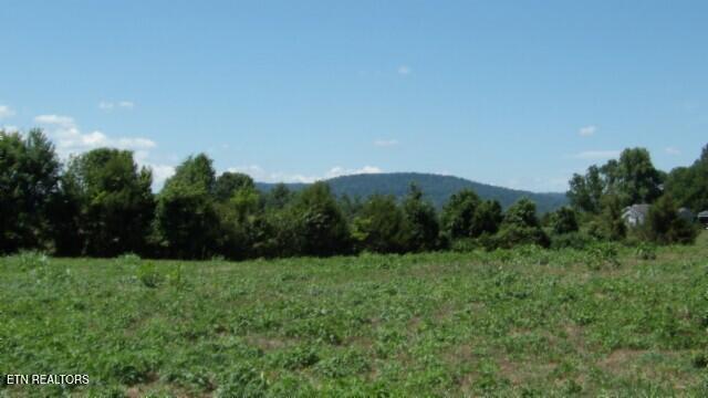 Lot 38 Ranchside Court Rock Island TN 38581