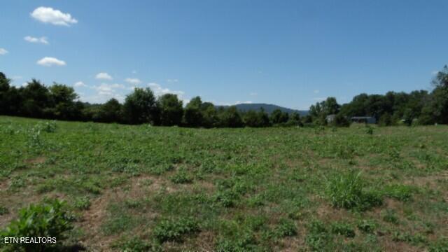 Lot 38 Ranchside Court Rock Island TN 38581