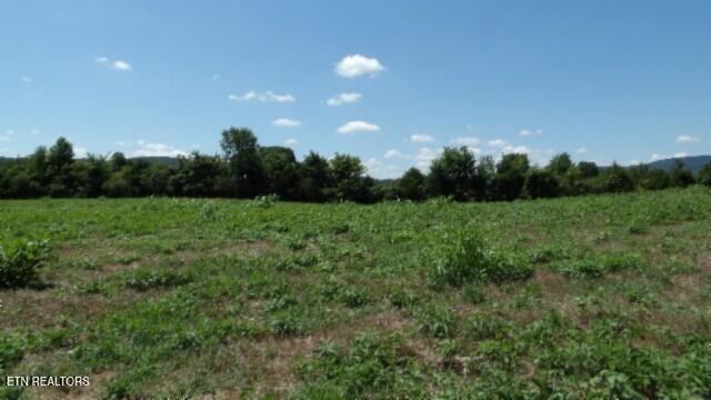 Lot 38 Ranchside Court Rock Island TN 38581