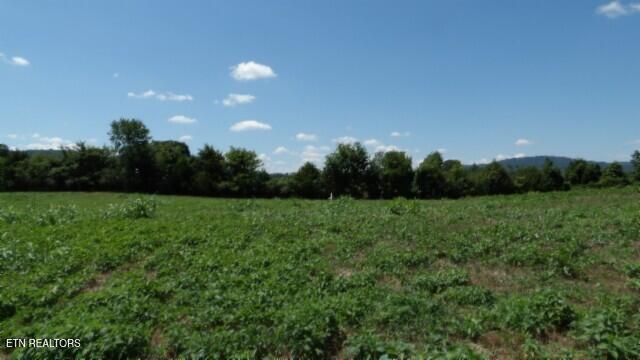 Lot 38 Ranchside Court Rock Island TN 38581