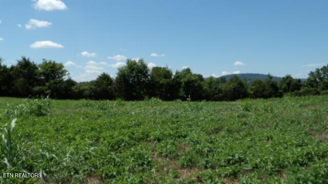 Lot 38 Ranchside Court Rock Island TN 38581