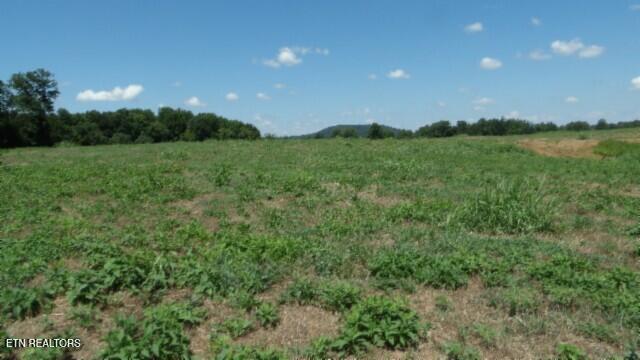 Lot 38 Ranchside Court Rock Island TN 38581