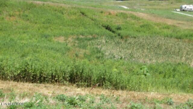Lot 38 Ranchside Court Rock Island TN 38581