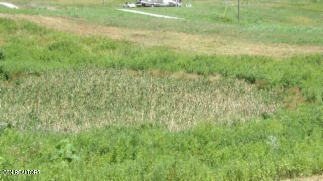 Lot 38 Ranchside Court Rock Island TN 38581