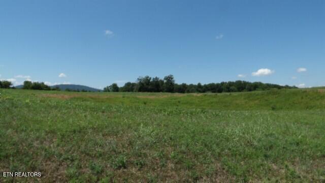 Lot 38 Ranchside Court Rock Island TN 38581
