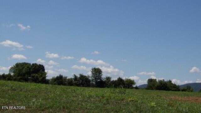 Lot 38 Ranchside Court Rock Island TN 38581