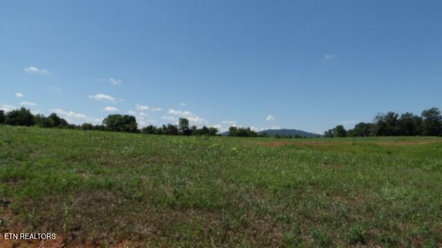 Lot 38 Ranchside Court Rock Island TN 38581