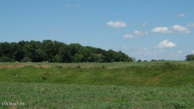 Lot 38 Ranchside Court Rock Island TN 38581