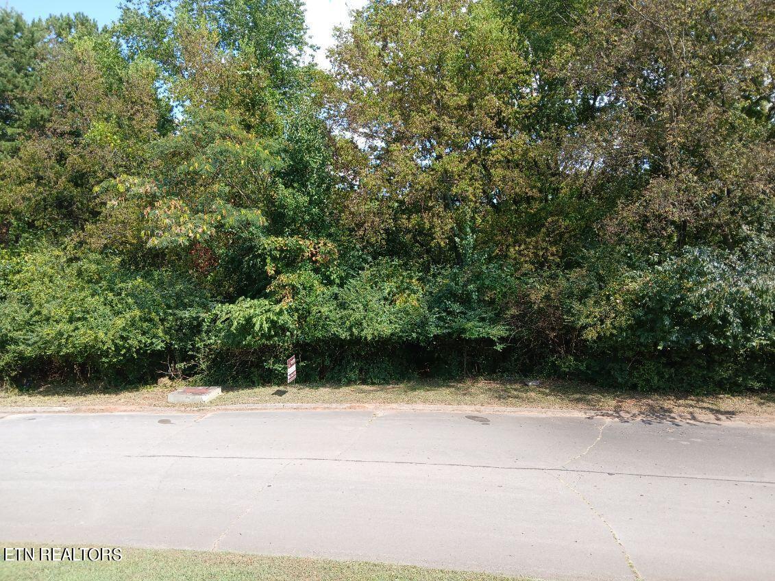 161 Trail View Drive Loudon TN 37774