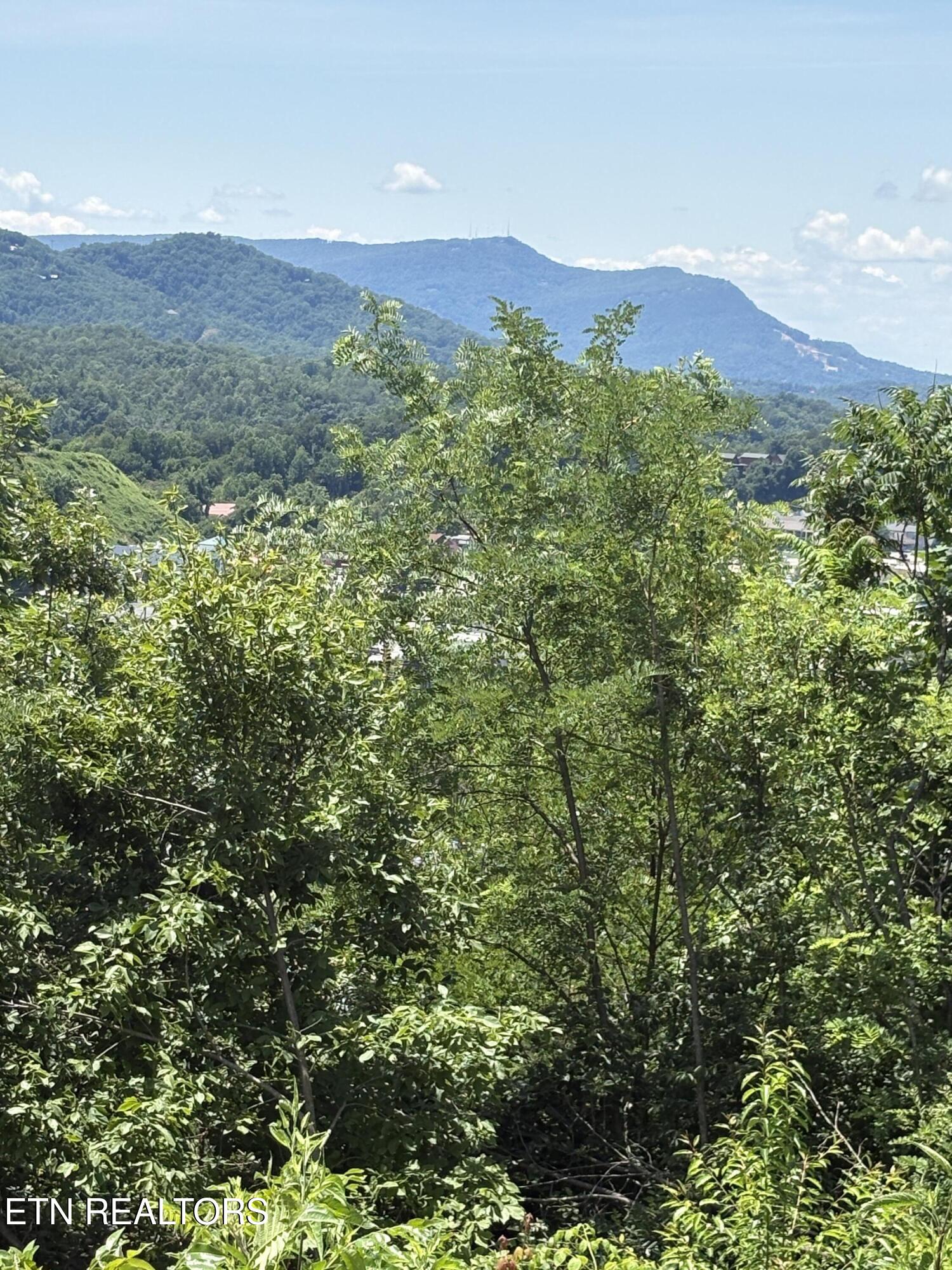 201 Cherry Laurel Drive Pigeon Forge TN 37863
