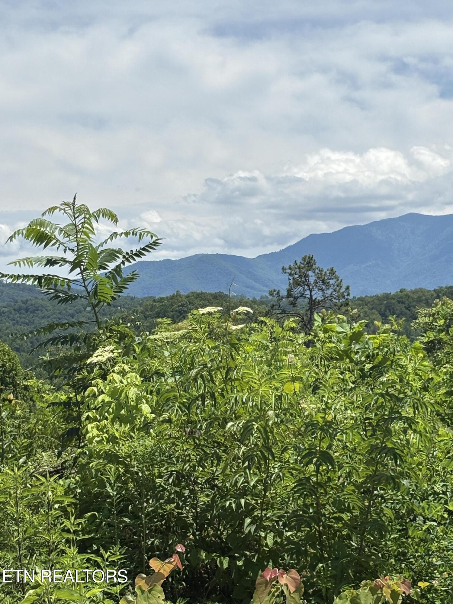 201 Cherry Laurel Drive Pigeon Forge TN 37863