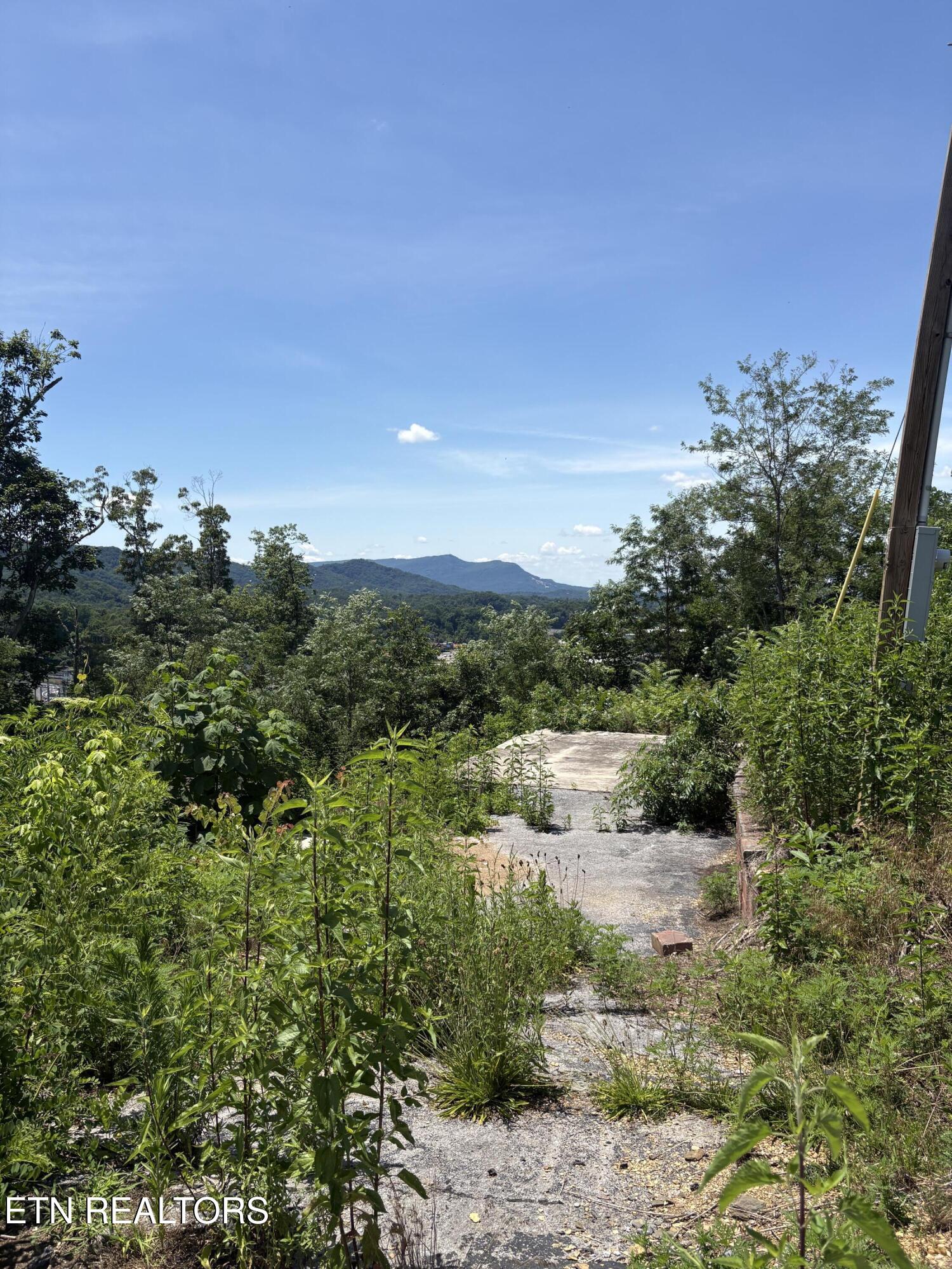 201 Cherry Laurel Drive Pigeon Forge TN 37863