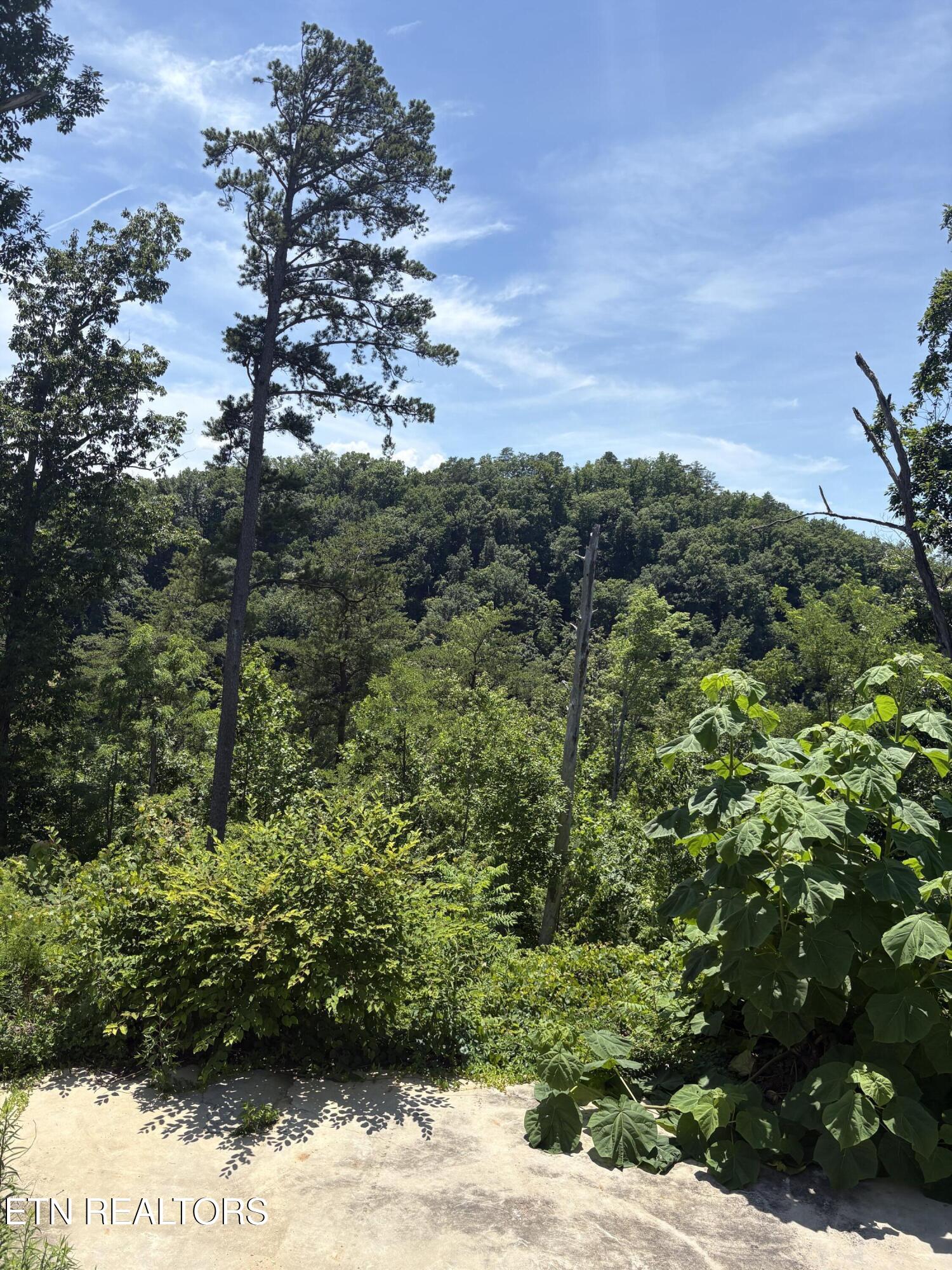 201 Cherry Laurel Drive Pigeon Forge TN 37863