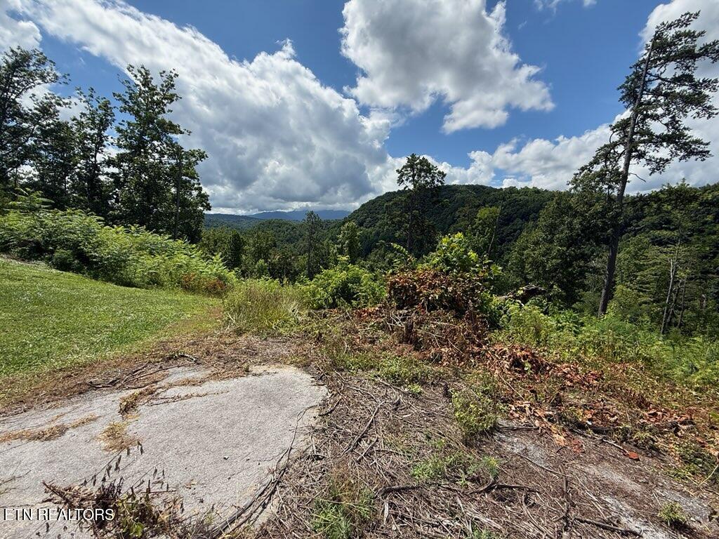 201 Cherry Laurel Drive Pigeon Forge TN 37863