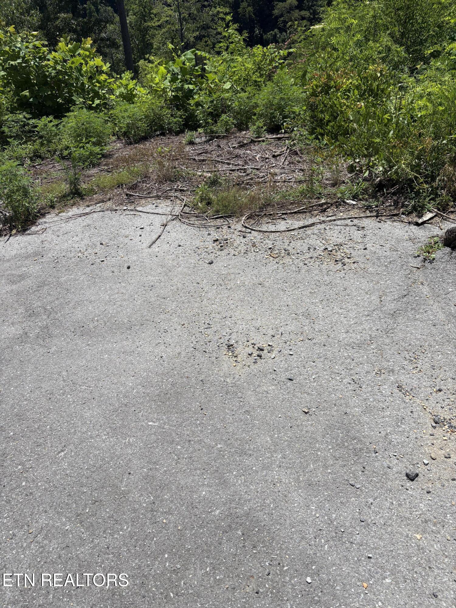 201 Cherry Laurel Drive Pigeon Forge TN 37863