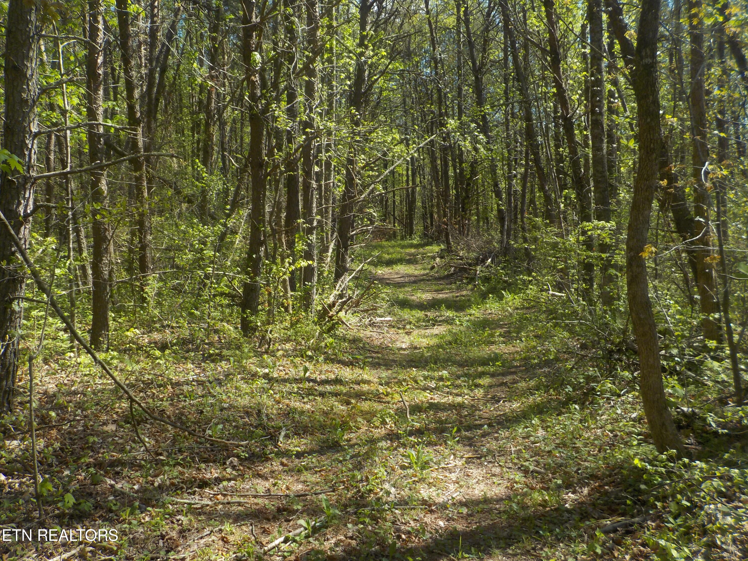 Steve Brown Road Bean Station TN 37708