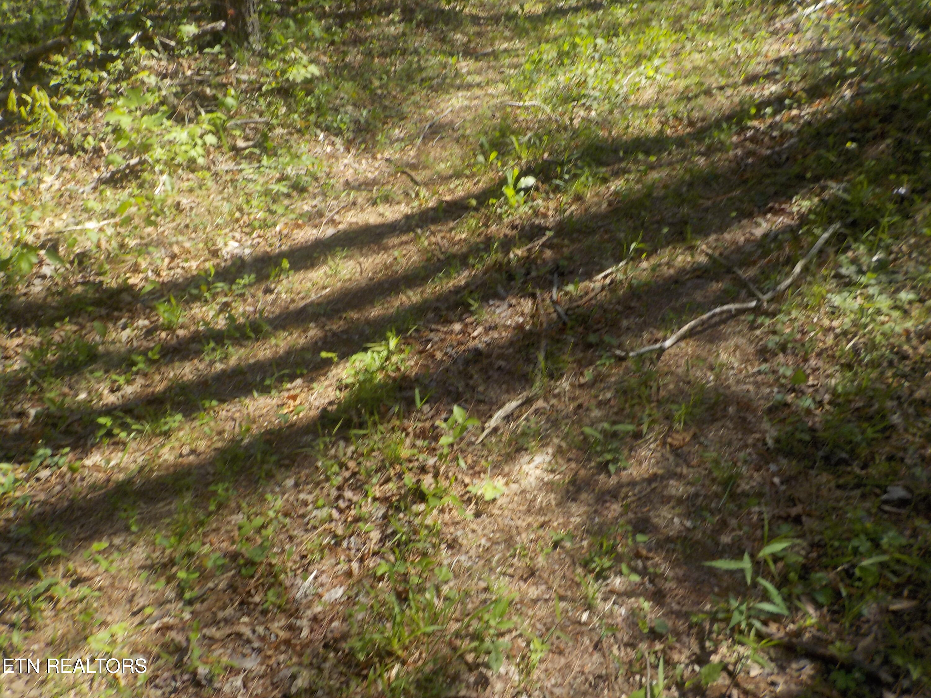 Steve Brown Road Bean Station TN 37708