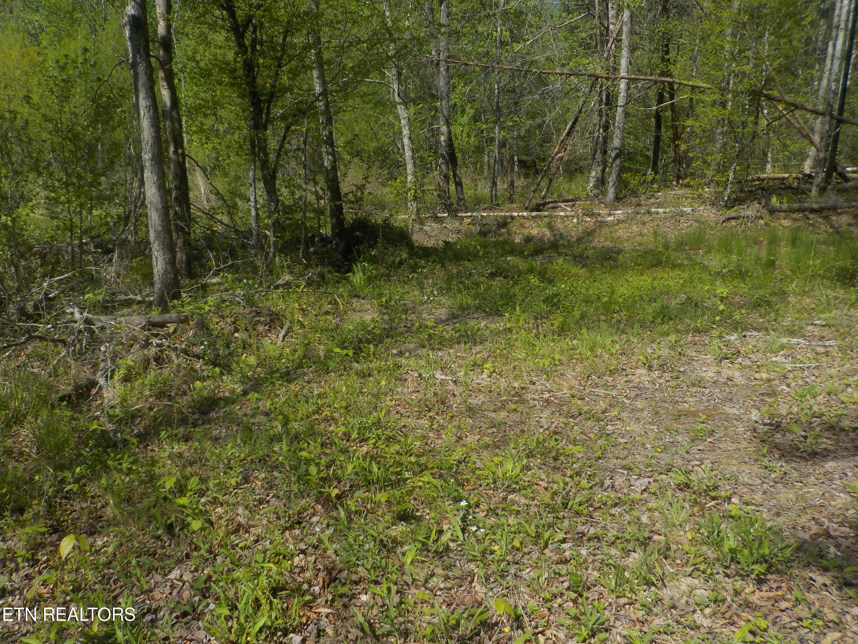 Steve Brown Road Bean Station TN 37708