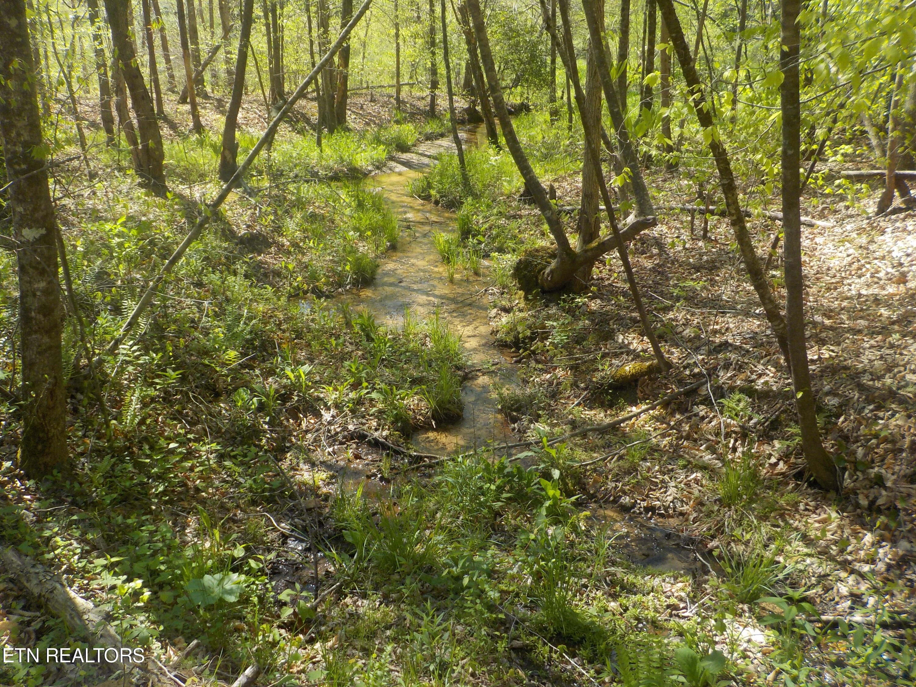 Steve Brown Road Bean Station TN 37708