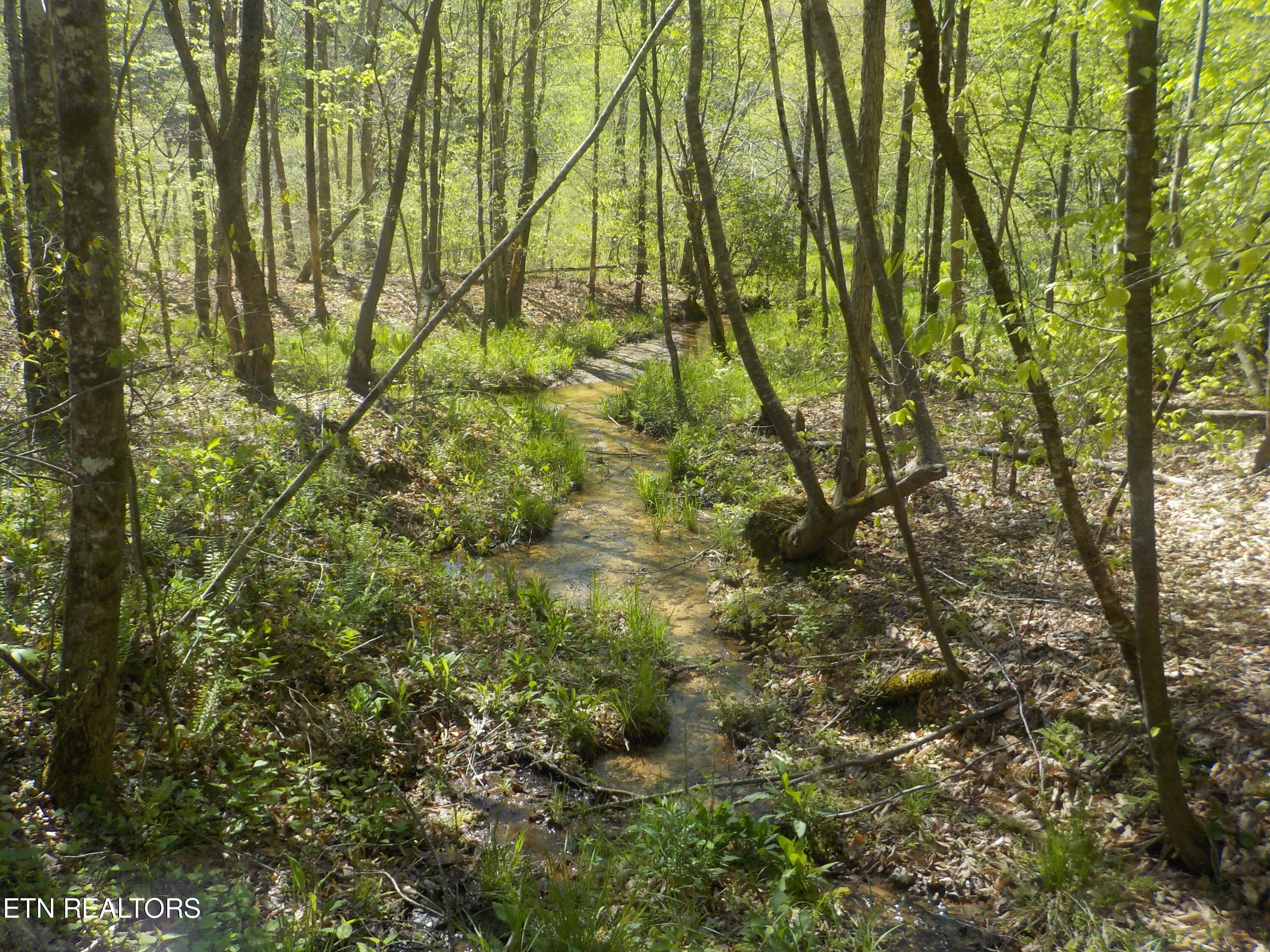 Steve Brown Road Bean Station TN 37708