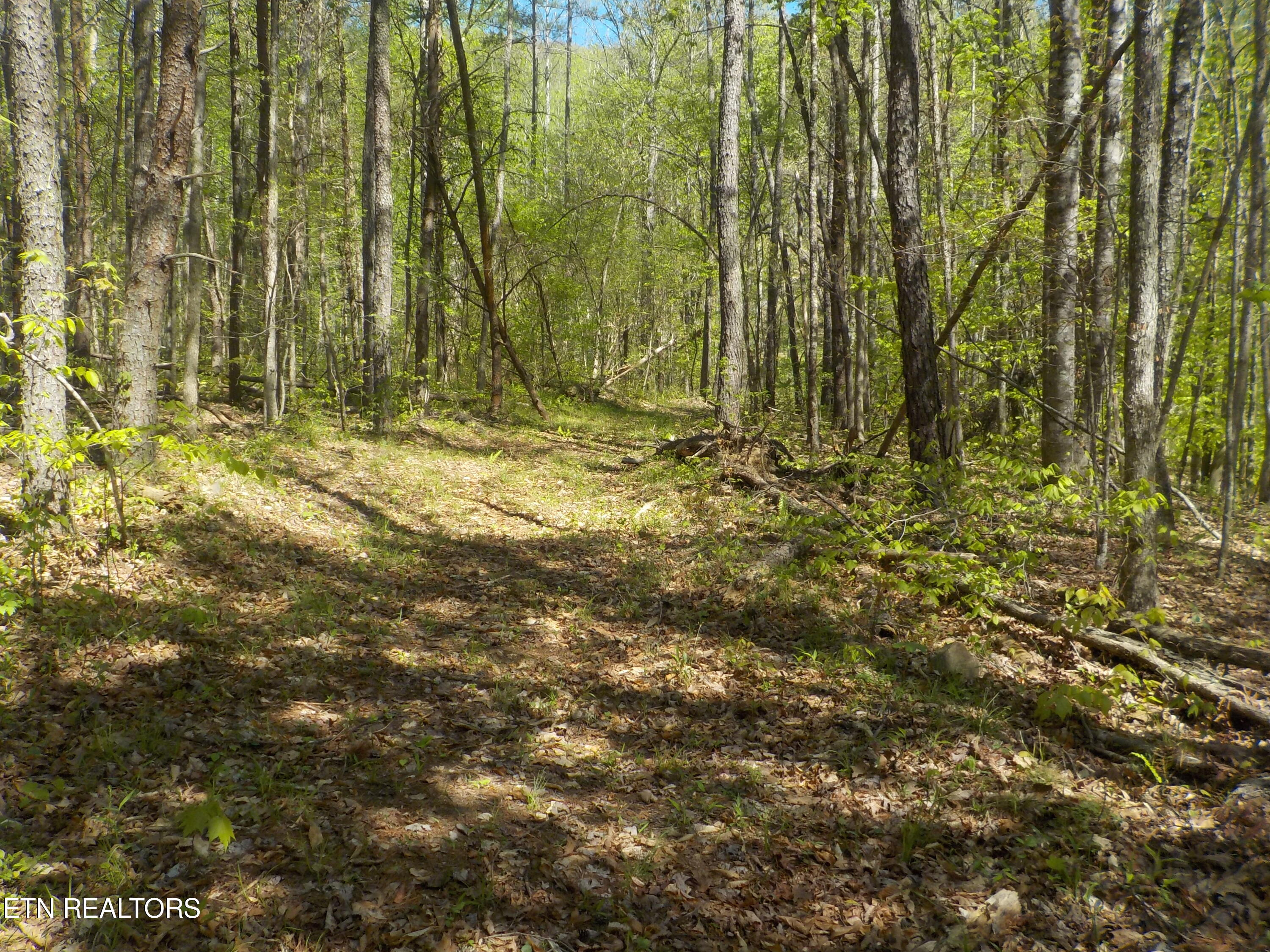 Steve Brown Road Bean Station TN 37708