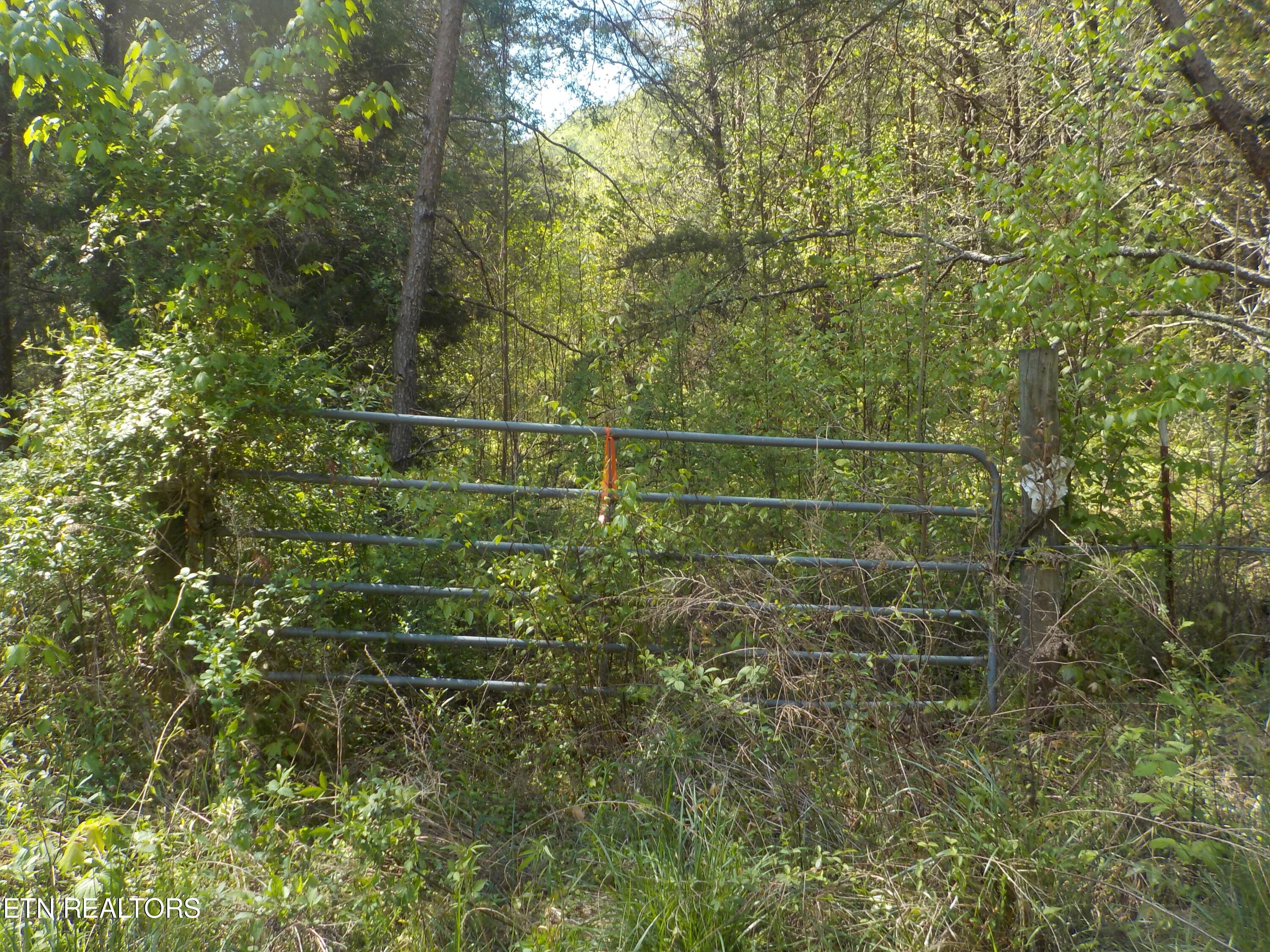 Steve Brown Road Bean Station TN 37708