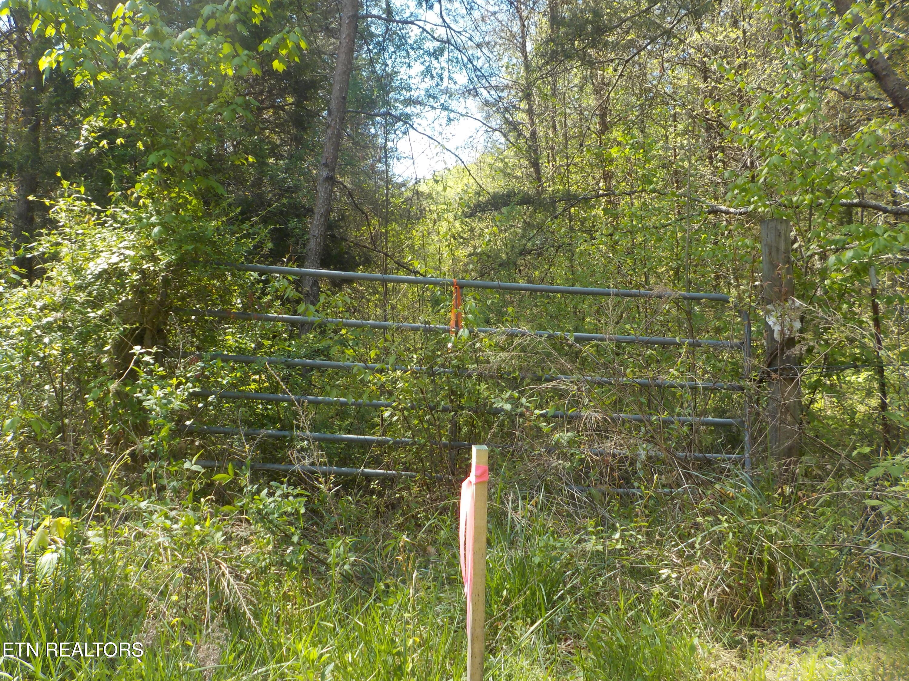 Steve Brown Road Bean Station TN 37708