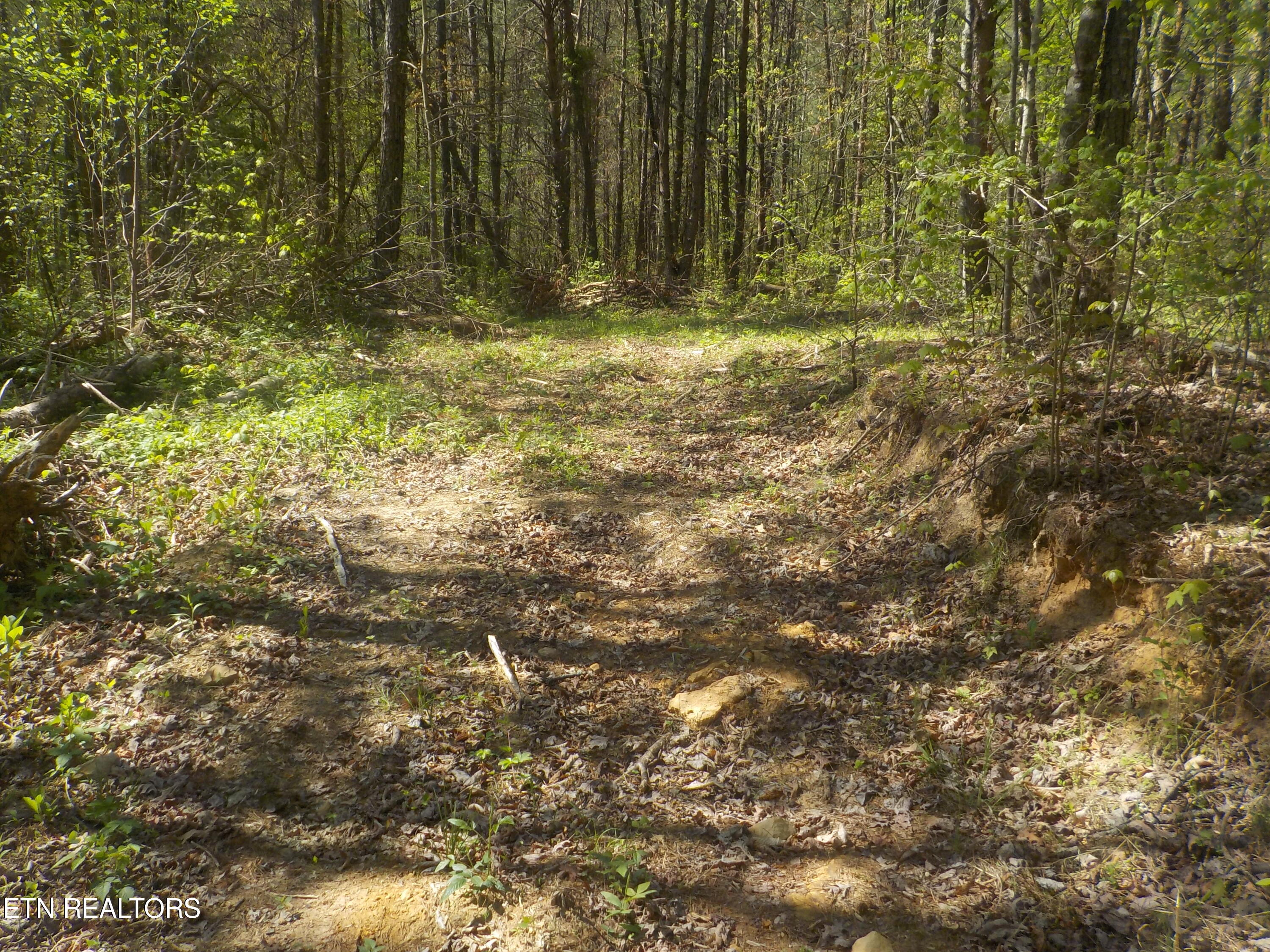 Steve Brown Road Bean Station TN 37708