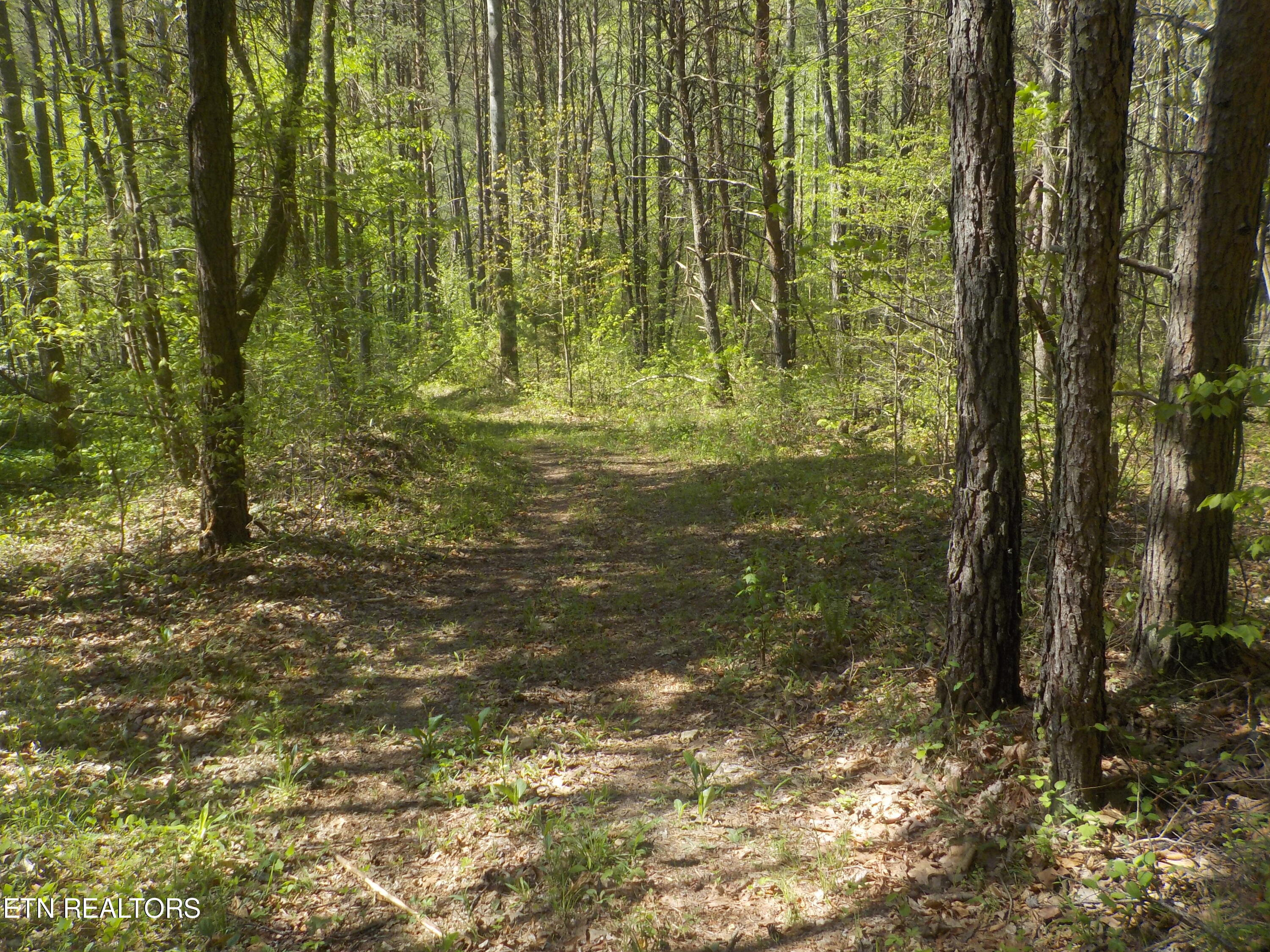 Steve Brown Road Bean Station TN 37708