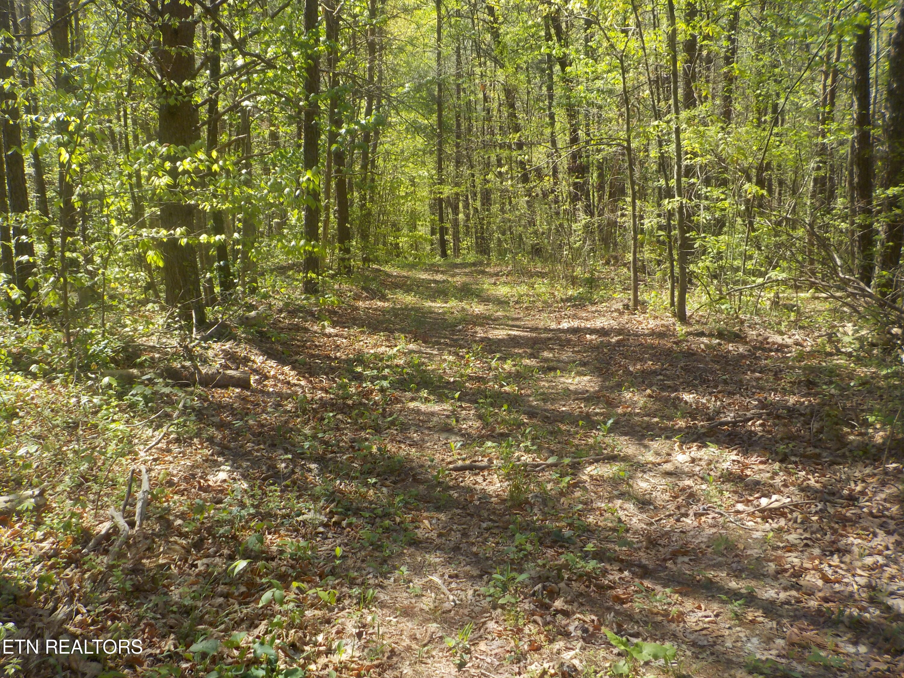 Steve Brown Road Bean Station TN 37708
