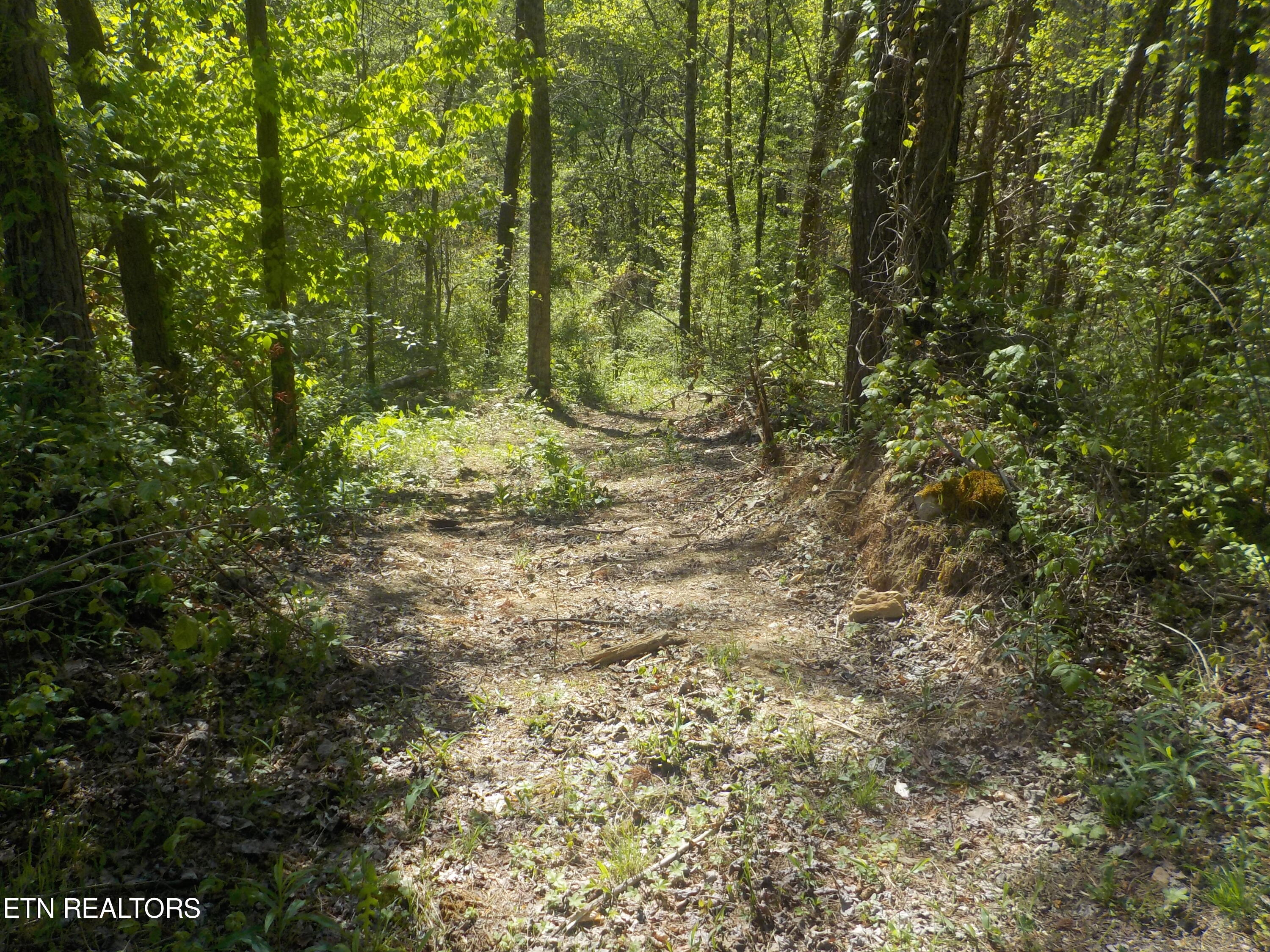 Steve Brown Road Bean Station TN 37708