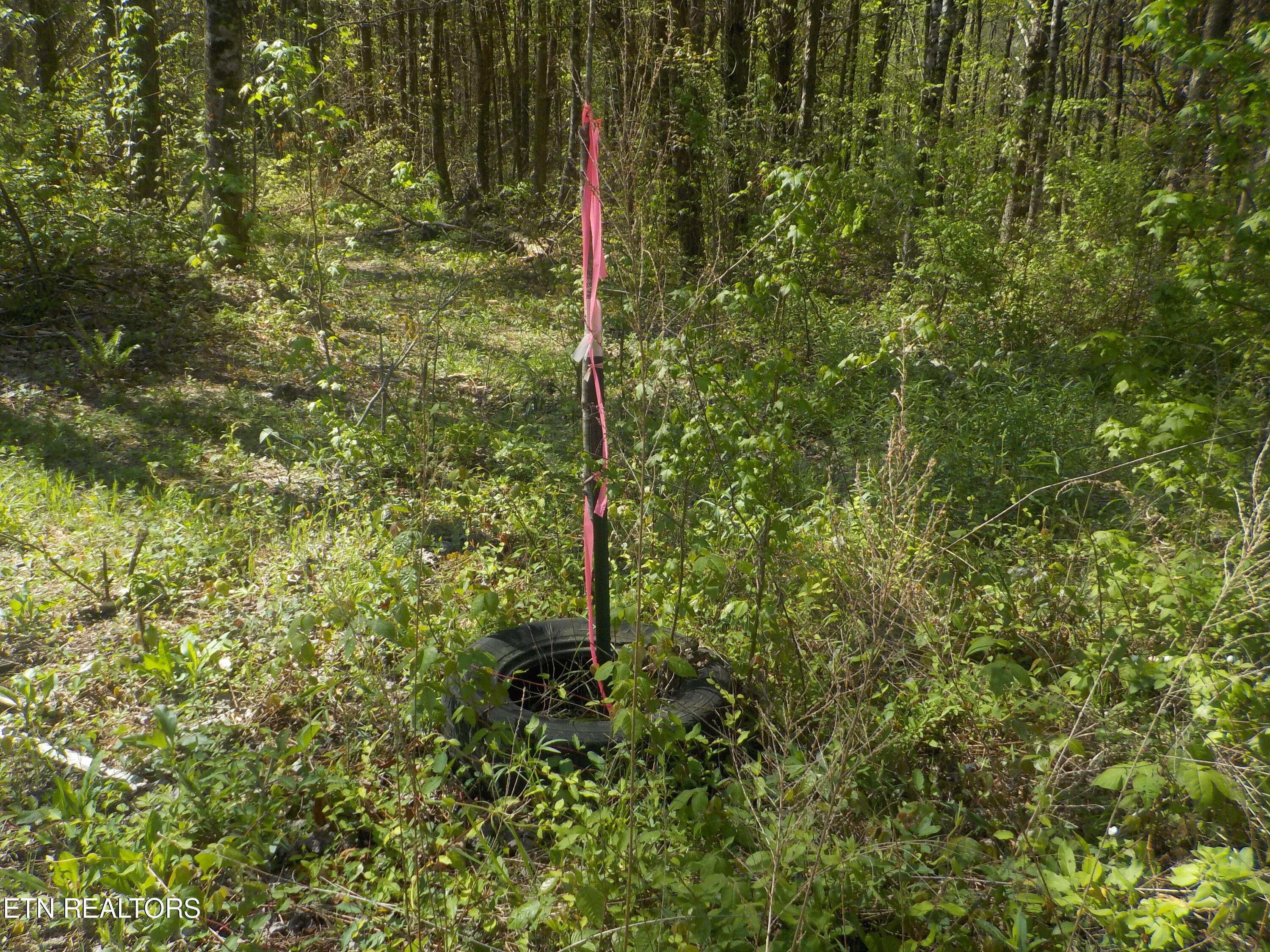 Steve Brown Road Bean Station TN 37708