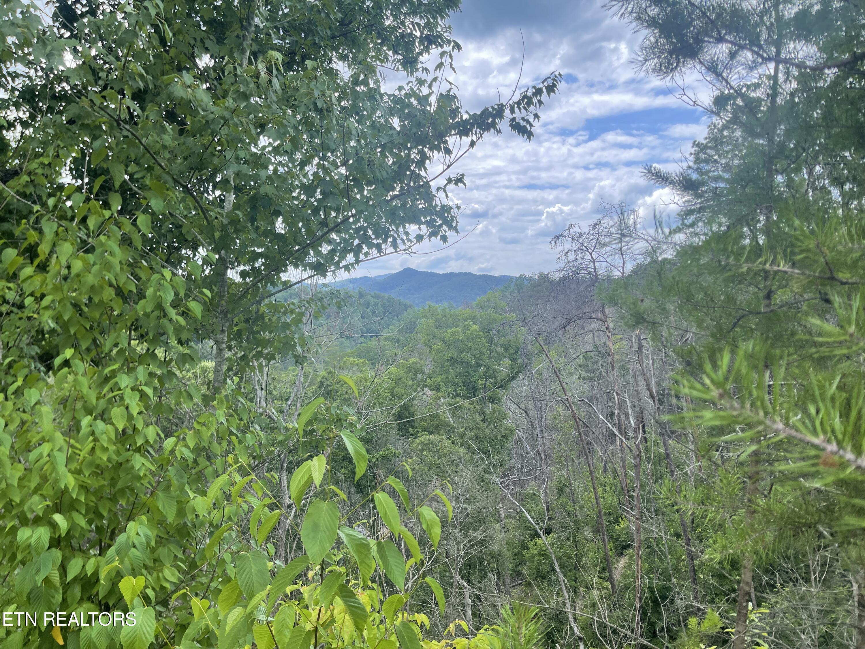 River Birch Way Sevierville TN 37862