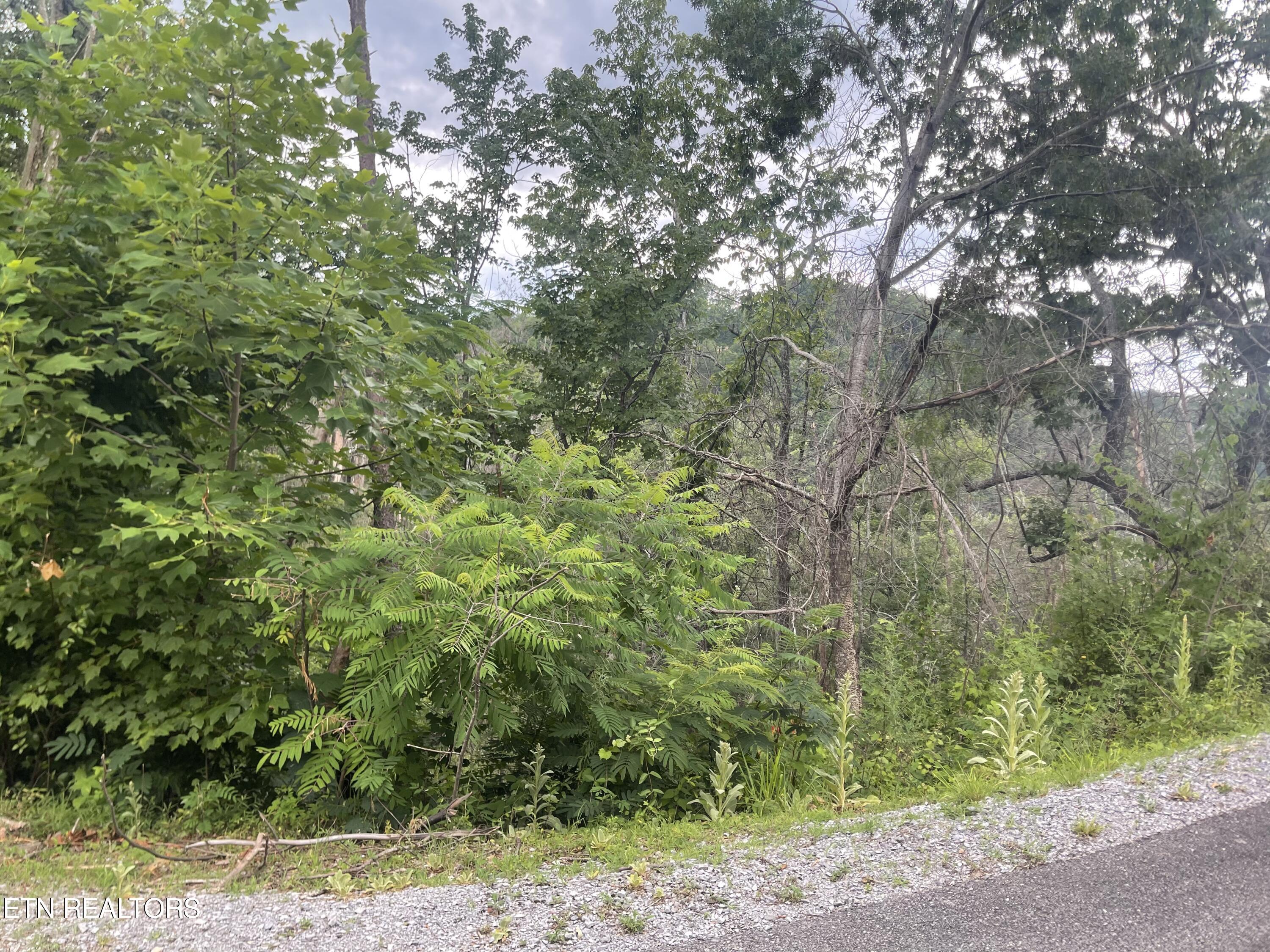 River Birch Way Sevierville TN 37862