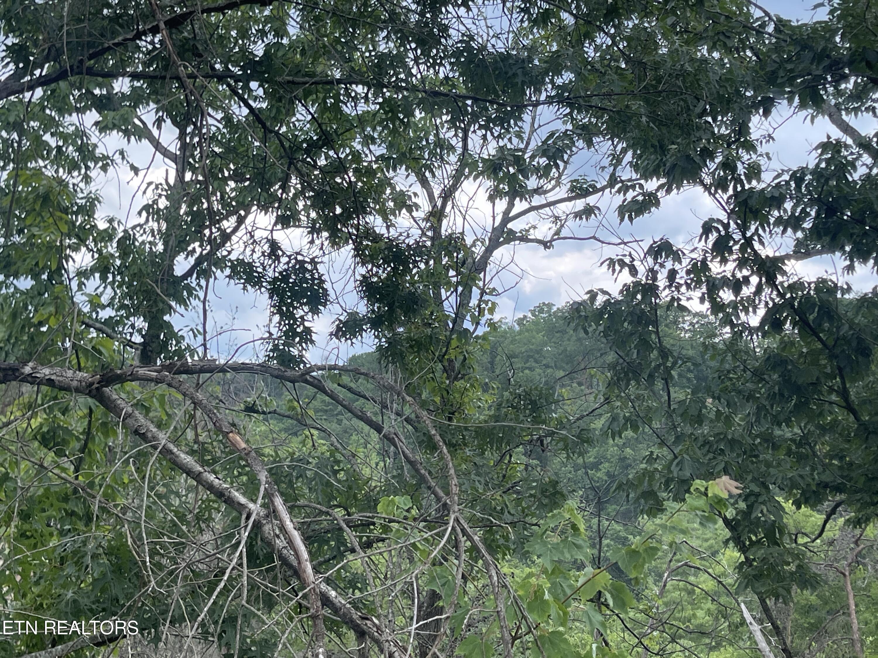 River Birch Way Sevierville TN 37862