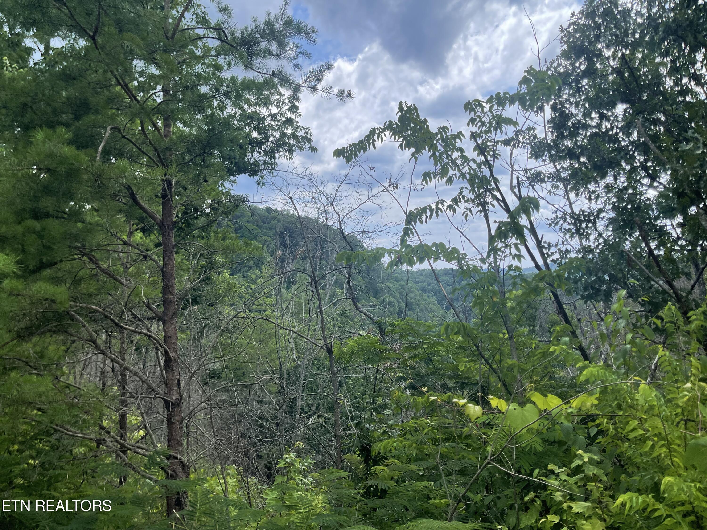 River Birch Way Sevierville TN 37862