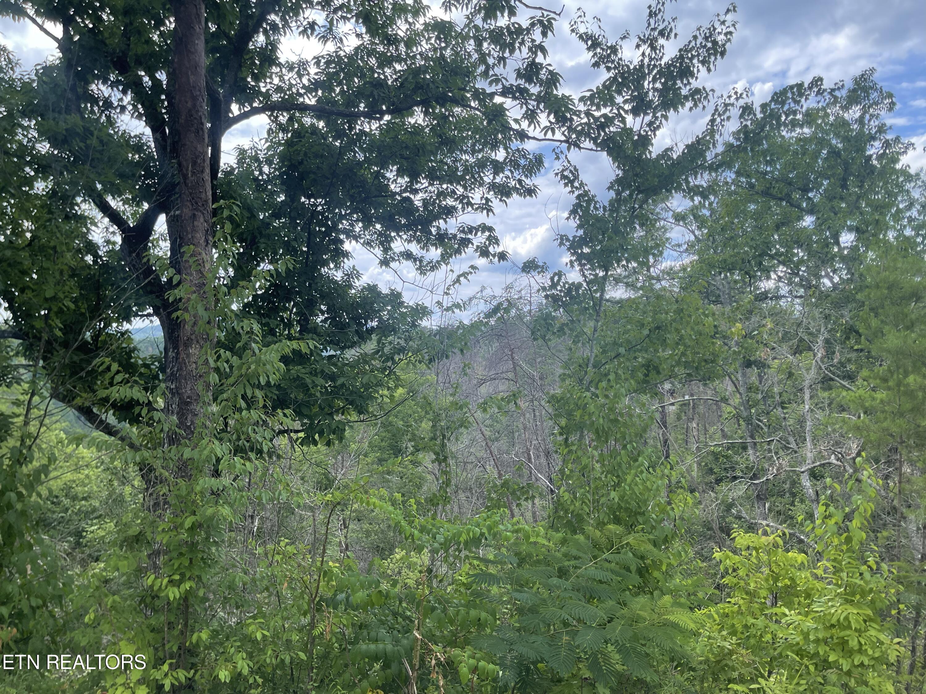 River Birch Way Sevierville TN 37862